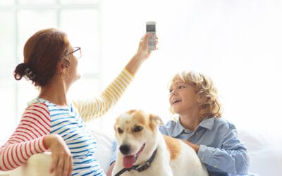 How to Optimize HVAC Performance and Lower Your Energy Bills